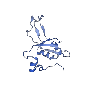 12877_7og4_XZ_v1-0
Human mitochondrial ribosome in complex with P/E-tRNA