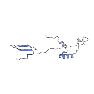 12877_7og4_a_v1-0
Human mitochondrial ribosome in complex with P/E-tRNA