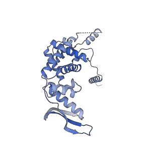 12877_7og4_c_v1-0
Human mitochondrial ribosome in complex with P/E-tRNA