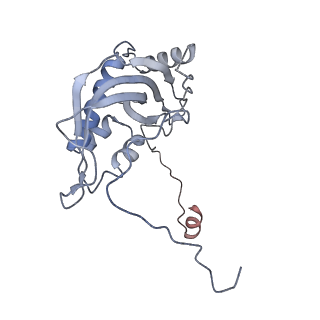 12877_7og4_d_v1-0
Human mitochondrial ribosome in complex with P/E-tRNA