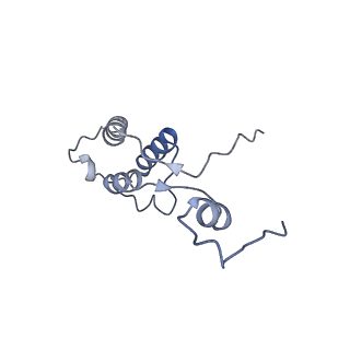 12877_7og4_h_v1-0
Human mitochondrial ribosome in complex with P/E-tRNA