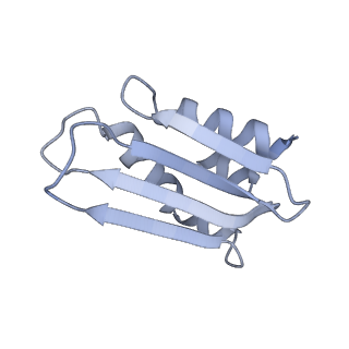 12877_7og4_k_v1-0
Human mitochondrial ribosome in complex with P/E-tRNA