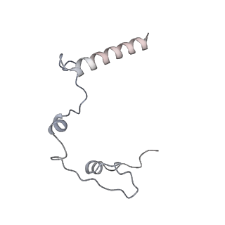 12877_7og4_l_v1-0
Human mitochondrial ribosome in complex with P/E-tRNA