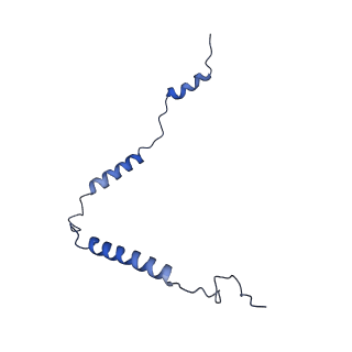 12877_7og4_o_v1-0
Human mitochondrial ribosome in complex with P/E-tRNA