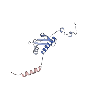 12877_7og4_p_v1-0
Human mitochondrial ribosome in complex with P/E-tRNA
