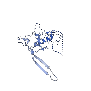 12877_7og4_r_v1-0
Human mitochondrial ribosome in complex with P/E-tRNA