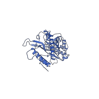 12877_7og4_s_v1-0
Human mitochondrial ribosome in complex with P/E-tRNA