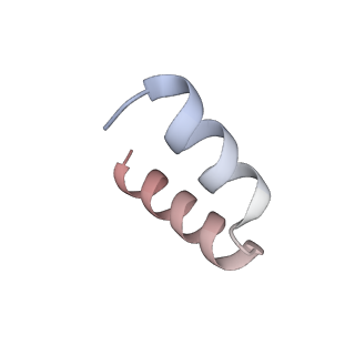 12877_7og4_t5_v1-0
Human mitochondrial ribosome in complex with P/E-tRNA