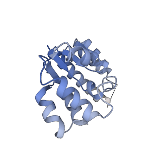 12878_7og5_A_v1-0
RNA-free Ribonuclease P from Halorhodospira halophila