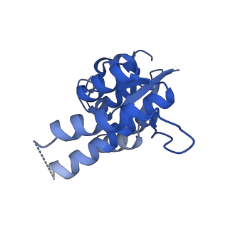 12878_7og5_F_v1-0
RNA-free Ribonuclease P from Halorhodospira halophila