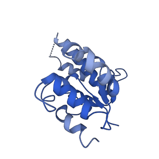 12878_7og5_G_v1-0
RNA-free Ribonuclease P from Halorhodospira halophila