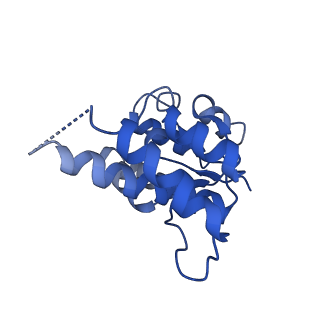12878_7og5_H_v1-0
RNA-free Ribonuclease P from Halorhodospira halophila