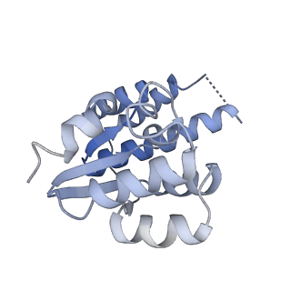 12878_7og5_K_v1-0
RNA-free Ribonuclease P from Halorhodospira halophila