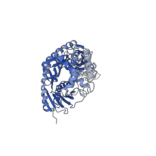 12882_7ogk_B_v1-1
A cooperative PNPase-Hfq-RNA carrier complex facilitates bacterial riboregulation. PNPase-3'ETS(leuZ)