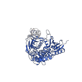 12882_7ogk_C_v1-1
A cooperative PNPase-Hfq-RNA carrier complex facilitates bacterial riboregulation. PNPase-3'ETS(leuZ)