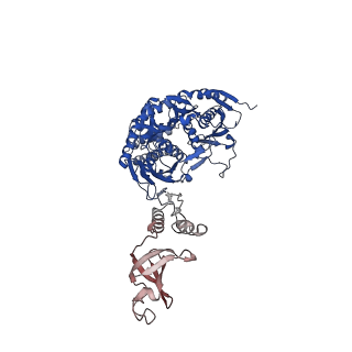 12883_7ogl_A_v1-1
A cooperative PNPase-Hfq-RNA carrier complex facilitates bacterial riboregulation. apo-PNPase