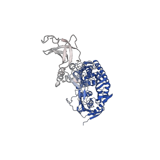 12883_7ogl_B_v1-1
A cooperative PNPase-Hfq-RNA carrier complex facilitates bacterial riboregulation. apo-PNPase