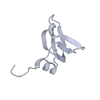 12884_7ogm_D_v1-1
A cooperative PNPase-Hfq-RNA carrier complex facilitates bacterial riboregulation. PNPase-3'ETS(leuZ)-Hfq