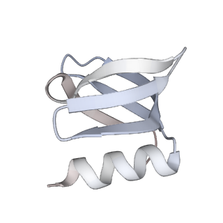 12884_7ogm_I_v1-1
A cooperative PNPase-Hfq-RNA carrier complex facilitates bacterial riboregulation. PNPase-3'ETS(leuZ)-Hfq
