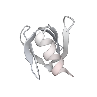 12884_7ogm_K_v1-1
A cooperative PNPase-Hfq-RNA carrier complex facilitates bacterial riboregulation. PNPase-3'ETS(leuZ)-Hfq