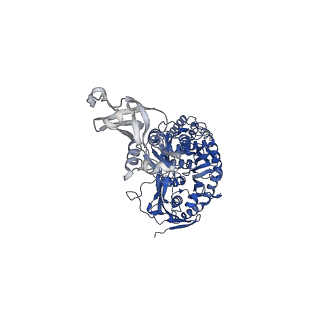 12884_7ogm_L_v1-1
A cooperative PNPase-Hfq-RNA carrier complex facilitates bacterial riboregulation. PNPase-3'ETS(leuZ)-Hfq