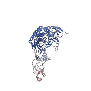 12884_7ogm_N_v1-1
A cooperative PNPase-Hfq-RNA carrier complex facilitates bacterial riboregulation. PNPase-3'ETS(leuZ)-Hfq