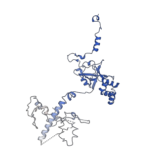 12885_7ogp_A_v1-1
Structure of the apo-state of the bacteriophage PhiKZ non-virion RNA polymerase - class including clamp