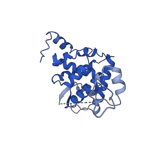 12885_7ogp_B_v2-0
Structure of the apo-state of the bacteriophage PhiKZ non-virion RNA polymerase - class including clamp