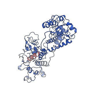 12885_7ogp_D_v1-1
Structure of the apo-state of the bacteriophage PhiKZ non-virion RNA polymerase - class including clamp