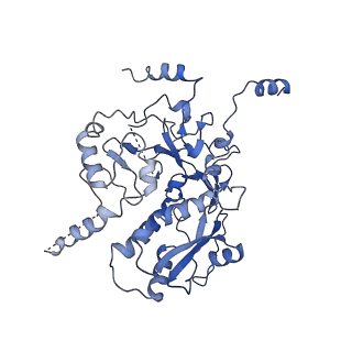 12885_7ogp_E_v1-1
Structure of the apo-state of the bacteriophage PhiKZ non-virion RNA polymerase - class including clamp