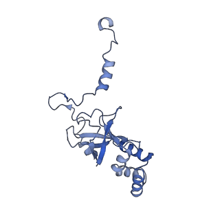 12886_7ogr_A_v2-0
Structure of the apo-state of the bacteriophage PhiKZ non-virion RNA polymerase