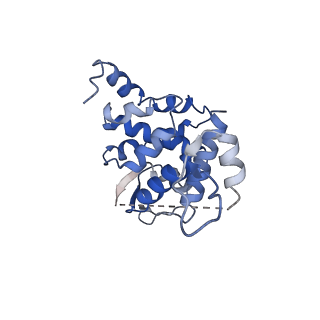 12886_7ogr_B_v1-1
Structure of the apo-state of the bacteriophage PhiKZ non-virion RNA polymerase