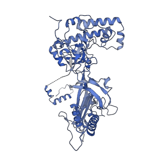 12886_7ogr_C_v1-1
Structure of the apo-state of the bacteriophage PhiKZ non-virion RNA polymerase