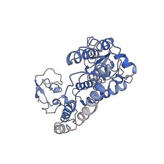 12886_7ogr_D_v1-1
Structure of the apo-state of the bacteriophage PhiKZ non-virion RNA polymerase