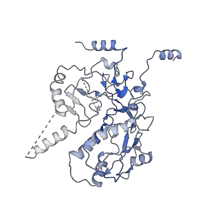 12886_7ogr_E_v1-1
Structure of the apo-state of the bacteriophage PhiKZ non-virion RNA polymerase