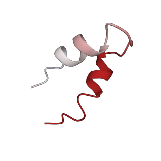 12886_7ogr_X_v1-1
Structure of the apo-state of the bacteriophage PhiKZ non-virion RNA polymerase