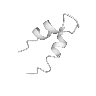12886_7ogr_X_v2-0
Structure of the apo-state of the bacteriophage PhiKZ non-virion RNA polymerase