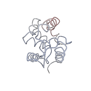 20051_6og3_A_v1-2
Focus classification structure of the hyperactive ClpB mutant K476C, bound to casein, NTD-trimer