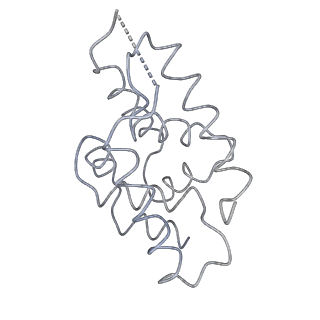 20051_6og3_C_v1-2
Focus classification structure of the hyperactive ClpB mutant K476C, bound to casein, NTD-trimer