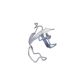 20052_6og7_C_v1-2
70S termination complex with RF2 bound to the UGA codon. Non-rotated ribosome with RF2 bound (Structure II)