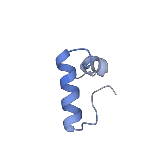 20052_6og7_D_v1-2
70S termination complex with RF2 bound to the UGA codon. Non-rotated ribosome with RF2 bound (Structure II)