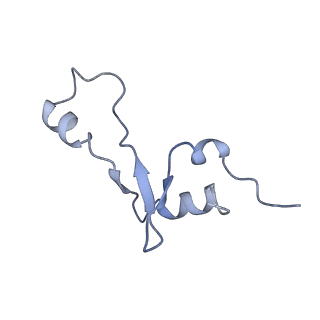 20052_6og7_E_v1-2
70S termination complex with RF2 bound to the UGA codon. Non-rotated ribosome with RF2 bound (Structure II)