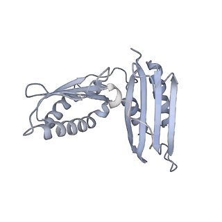 20052_6og7_H_v1-2
70S termination complex with RF2 bound to the UGA codon. Non-rotated ribosome with RF2 bound (Structure II)