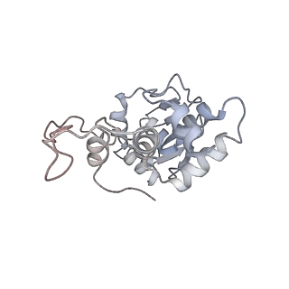 20052_6og7_I_v1-1
70S termination complex with RF2 bound to the UGA codon. Non-rotated ribosome with RF2 bound (Structure II)