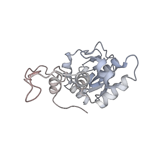 20052_6og7_I_v1-2
70S termination complex with RF2 bound to the UGA codon. Non-rotated ribosome with RF2 bound (Structure II)