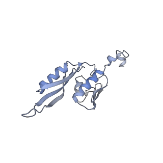 20052_6og7_J_v1-2
70S termination complex with RF2 bound to the UGA codon. Non-rotated ribosome with RF2 bound (Structure II)