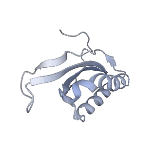 20052_6og7_K_v1-2
70S termination complex with RF2 bound to the UGA codon. Non-rotated ribosome with RF2 bound (Structure II)