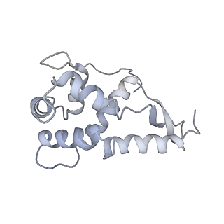 20052_6og7_L_v1-2
70S termination complex with RF2 bound to the UGA codon. Non-rotated ribosome with RF2 bound (Structure II)