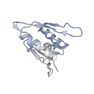 20052_6og7_M_v1-1
70S termination complex with RF2 bound to the UGA codon. Non-rotated ribosome with RF2 bound (Structure II)