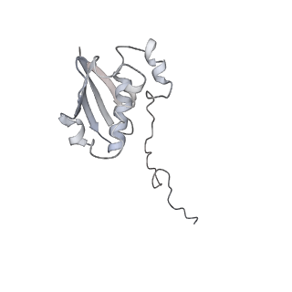 20052_6og7_N_v1-1
70S termination complex with RF2 bound to the UGA codon. Non-rotated ribosome with RF2 bound (Structure II)